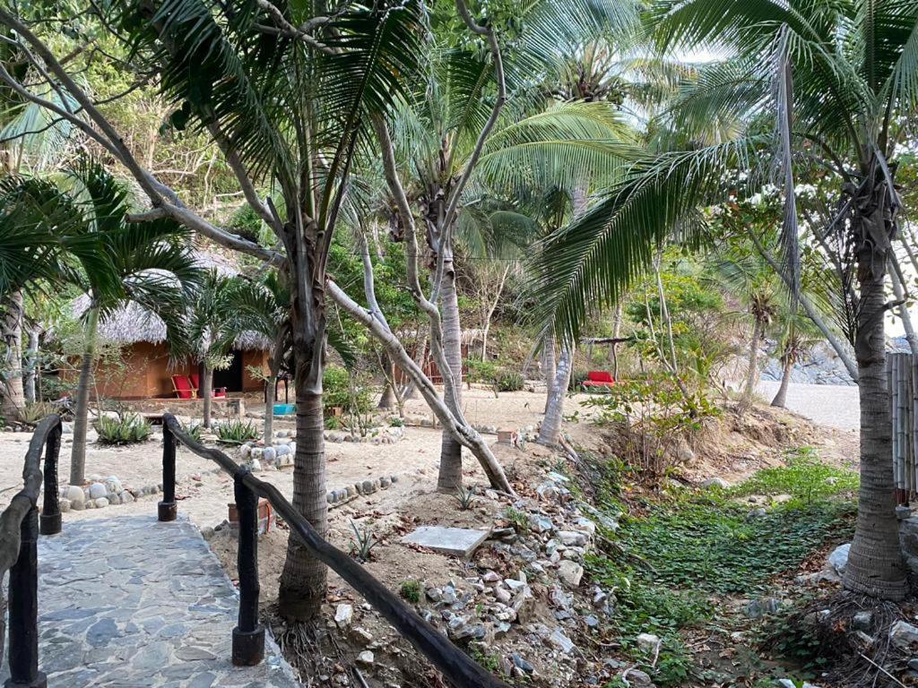 Hotel Bahia De La Luna Arroyo Cruz Ngoại thất bức ảnh
