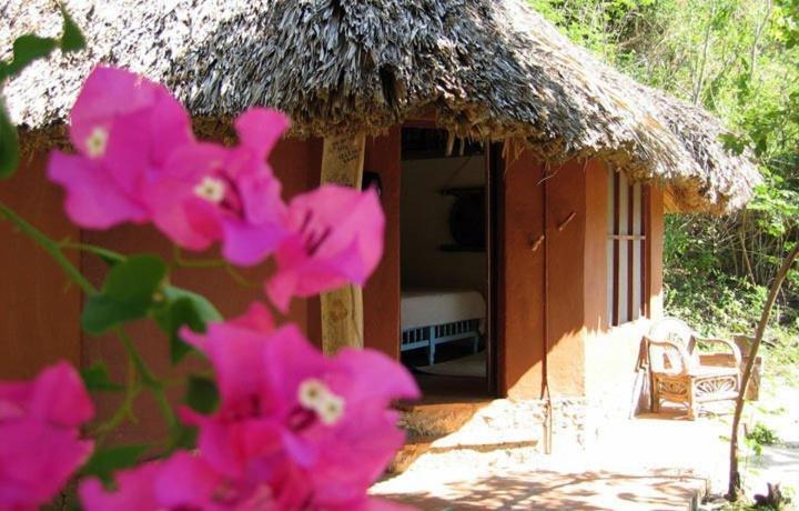 Hotel Bahia De La Luna Arroyo Cruz Ngoại thất bức ảnh